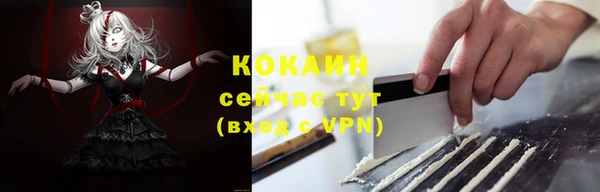 спайс Алзамай