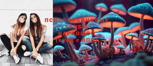спайс Алзамай