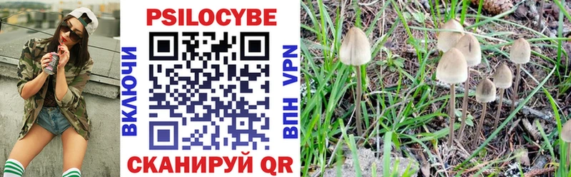 маркетплейс Telegram  МЕГА рабочий сайт  Тула  Галлюциногенные грибы Cubensis 