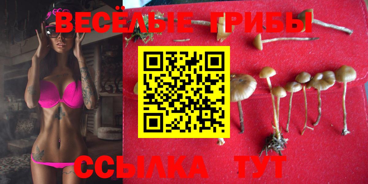 Тула  Псилоцибиновые грибы мухоморы  Псилоцибиновые грибы GOLDEN TEACHER  Вход с VPN 